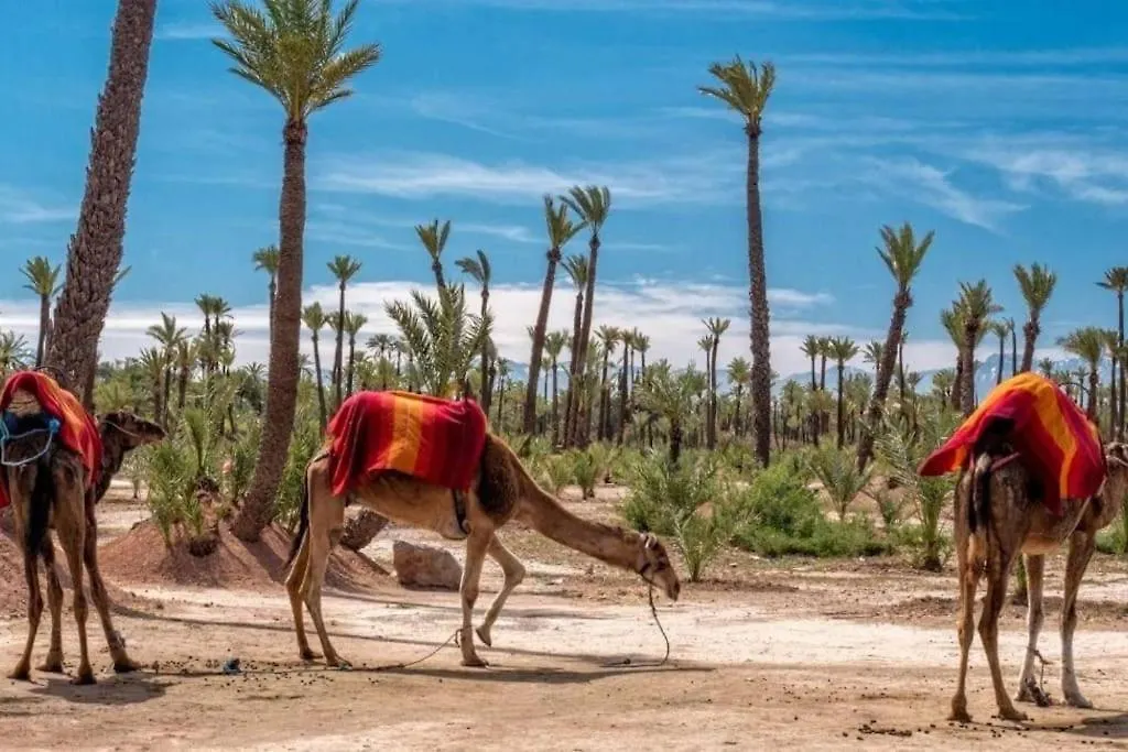 מרקש African Dream - Marrakech Centre